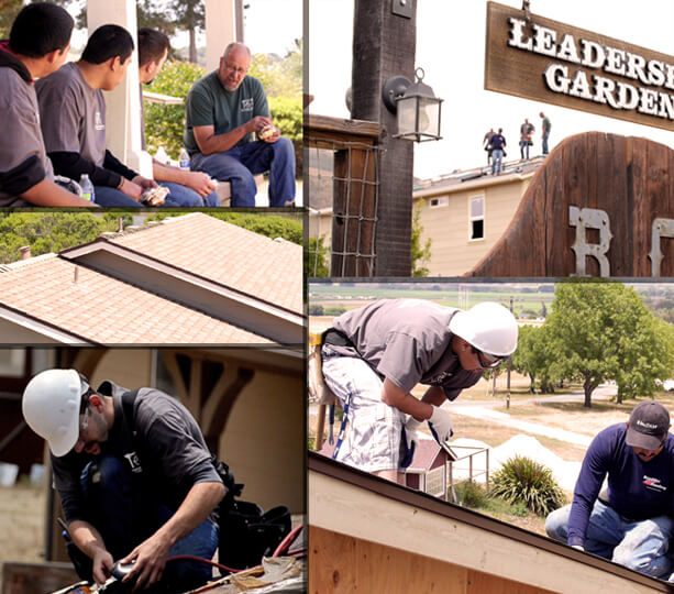 asphalt shingle roof